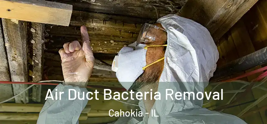  Air Duct Bacteria Removal Cahokia - IL