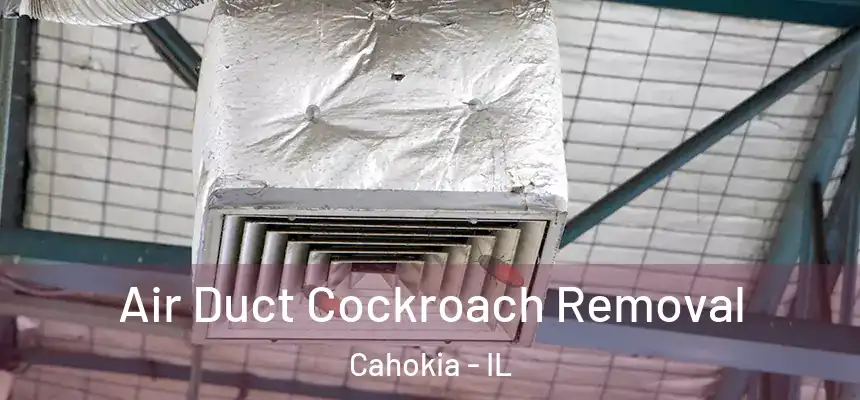  Air Duct Cockroach Removal Cahokia - IL