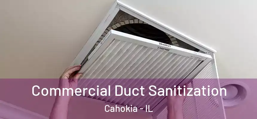  Commercial Duct Sanitization Cahokia - IL