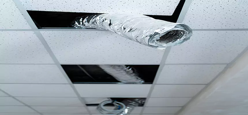 Our Air Duct Pet Hair Removal Services in Cahokia, IL