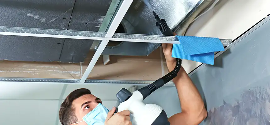 Our Air Duct Rodent Removal Services in Cahokia, IL