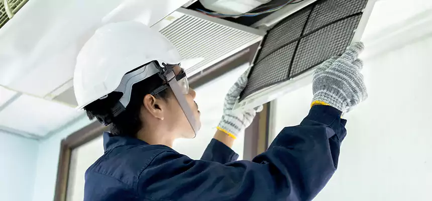 Our Mold & Mildew Removal from Air Ducts Services in Cahokia, IL