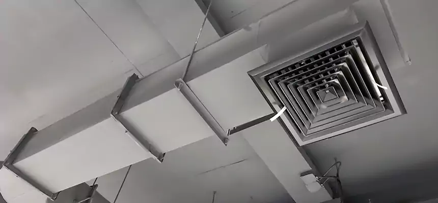 Our Pest Removal From Ducts Services in Cahokia, IL