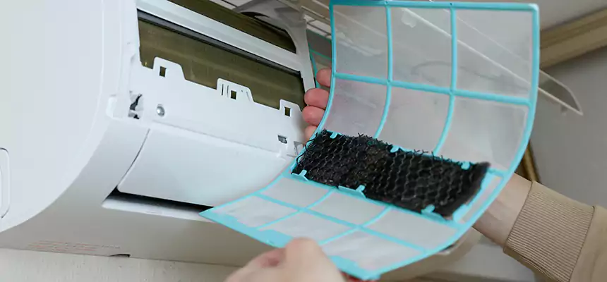 Gentle Ductwork Odor-Control Pet Dander Duct Cleaning in Cahokia, IL