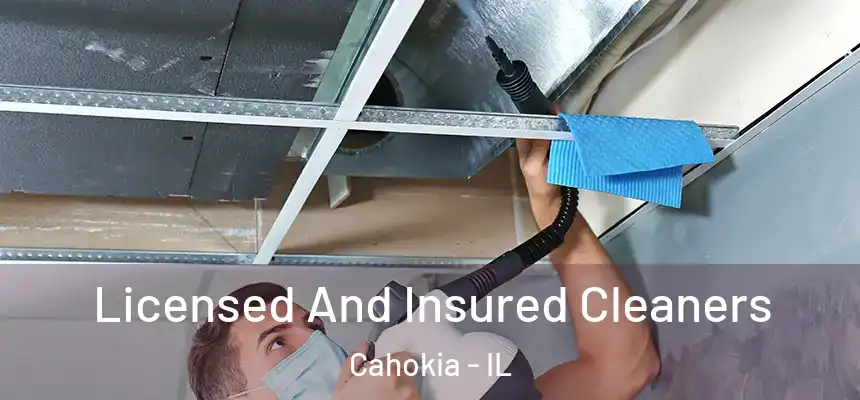  Licensed And Insured Cleaners Cahokia - IL