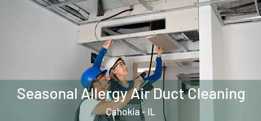  Seasonal Allergy Air Duct Cleaning Cahokia - IL
