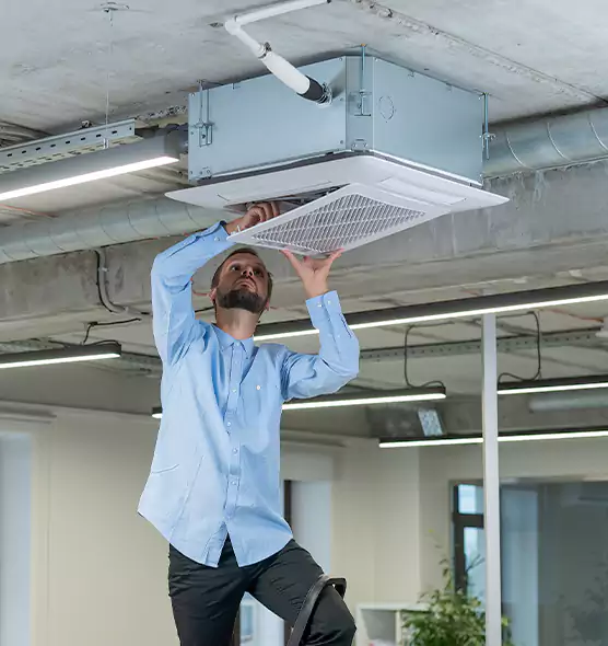Advanced Rodent Droppings In Vents in Cahokia, IL