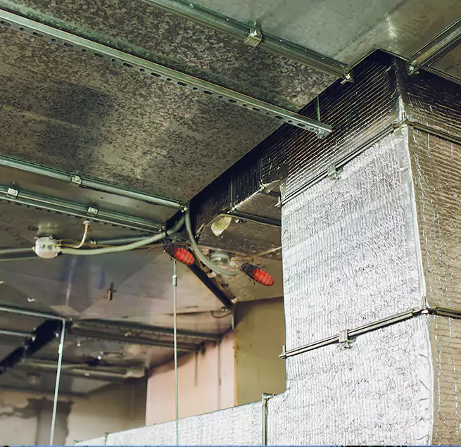 Why Homeowners & Businesses Trust Us in Cahokia, IL?