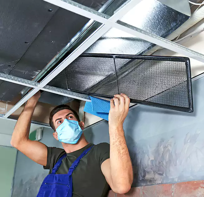 Why Homeowners Businesses Trust Us in Cahokia, IL