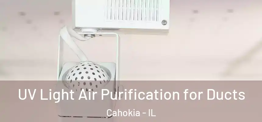  UV Light Air Purification for Ducts Cahokia - IL