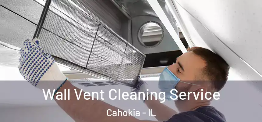  Wall Vent Cleaning Service Cahokia - IL